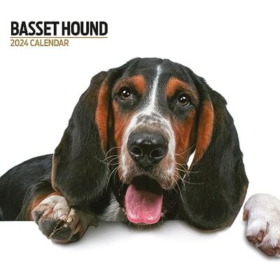 Magnet & Steel Basset Hound Modern 2024 Kalender Magnet & Steel Basset Hound Modern 2024 Kalender