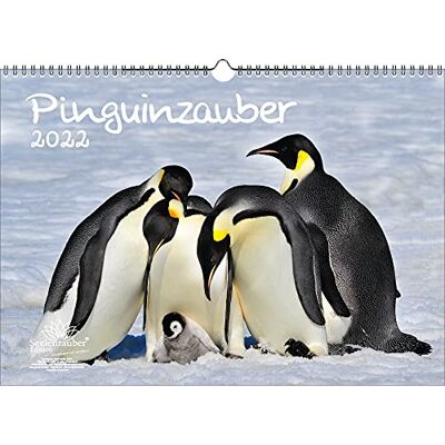 Seelenzauber Penguin Magic Din A3 Kalender För 2022 Penguin Soulmagi Seelenzauber Penguin Magic Din A3 Kalender För 2022 Penguin Soulmagi