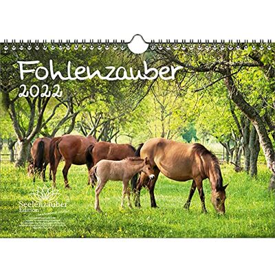 Seelenzauber Fölmagi Din A4 -Kalender För 2022 Hästar Och Föl Själsmagi Seelenzauber Fölmagi Din A4 -Kalender För 2022 Hästar Och Föl Själsmagi