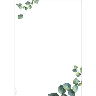 Sigel DP682 Högkvalitativt motivpapper, skrivarpapper, eukalyptus, grön, A5, 100 ark, motiv på båda sidor, 90 g/m², för menyer, av hållbart papper Sigel DP682 Högkvalitativt motivpapper, skrivarpapper, eukalyptus, grön, A5, 100 ark, motiv på båda sidor, 90 g/m², för menyer, av hållbart papper