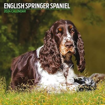 Magnet & Steel Engelsk Springer Spaniel traditionell 2024 kalender Magnet & Steel Engelsk Springer Spaniel traditionell 2024 kalender