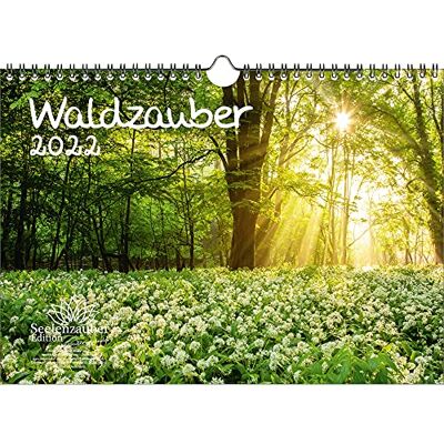 Seelenzauber Forest Magic Din A4 Kalender För 2022 Forest Soulmagi Seelenzauber Forest Magic Din A4 Kalender För 2022 Forest Soulmagi