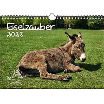 Seelenzauber Åsnemagi DIN A4 kalender för 2023 åsna – sjömagi Seelenzauber Åsnemagi DIN A4 kalender för 2023 åsna – sjömagi