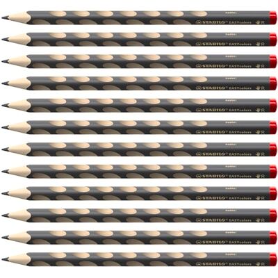 STABILO Ergonomisk färgpenna för högerhänta – Easycolors – 12-pack – grå STABILO Ergonomisk färgpenna för högerhänta – Easycolors – 12-pack – grå