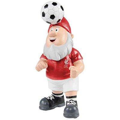 FOCO Liverpool FC fotboll Premier League mästerskap sidhuvud boll trädgård tomte prydnad inomhus/utomhus FOCO Liverpool FC fotboll Premier League mästerskap sidhuvud boll trädgård tomte prydnad inomhus/utomhus