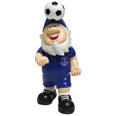 FOCO Everton FC fotboll Premier League Championship sidhuvud boll trädgård tomte prydnad inomhus/utomhus FOCO Everton FC fotboll Premier League Championship sidhuvud boll trädgård tomte prydnad inomhus/utomhus