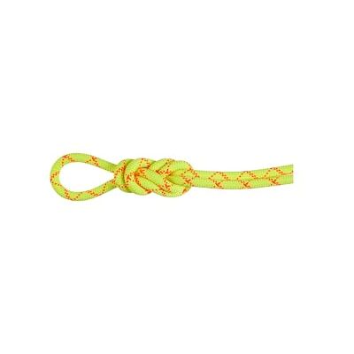 Mammut 9,5 Alpine Core Protect Dry Rope 40 m 40 m Mammut 9,5 Alpine Core Protect Dry Rope 40 m 40 m