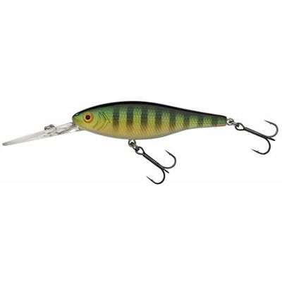 Berkley Pulse Minnow djupfiskedrag, Twitchbait för rovfisk i sötvatten, Jerkbait-verkan, djupdykande hårdbete för abborre, öring, gös, exakt kast, rörelse från sida till sida, 8 cm, Perch Berkley Pulse Minnow djupfiskedrag, Twitchbait för rovfisk i sötvatten, Jerkbait-verkan, djupdykande hårdbete för abborre, öring, gös, exakt kast, rörelse från sida till sida, 8 cm, Perch