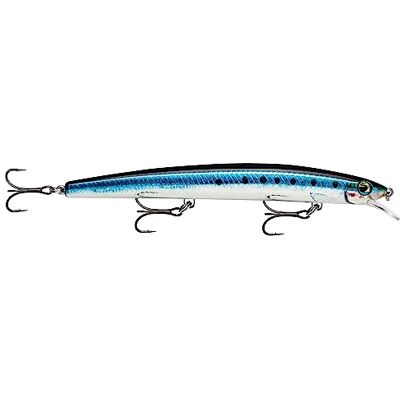 Rapala Konstgjord Spinning MaxRap-Aerodynamisk Simulering Lure för Havsfiske Simdjup 0,3, 0,3-0,9 m 17 cm/28 g-Tillverkad i Estland-Live Unisex Sardine, 17 cm/28 g Rapala Konstgjord Spinning MaxRap-Aerodynamisk Simulering Lure för Havsfiske Simdjup 0,3, 0,3-0,9 m 17 cm/28 g-Tillverkad i Estland-Live Unisex Sardine, 17 cm/28 g
