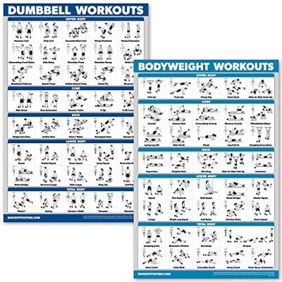 Palace Learning QuickFit Hantel träning och kroppsvikt övning affisch set – laminerat 2 diagram set – hantel träningsrutin och kroppsvikt träning (45 cm x 68 cm) Palace Learning QuickFit Hantel träning och kroppsvikt övning affisch set – laminerat 2 diagram set – hantel träningsrutin och kroppsvikt träning (45 cm x 68 cm)