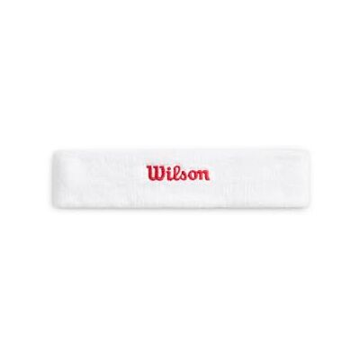 Wilson Terry logotyp pannband Wilson Terry logotyp pannband