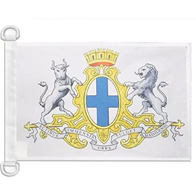 AZ FLAG Marseille-flagga vapensköld 45 x 30 cm Marseillais båt flagga stad Marseille 30 x 45 cm AZ FLAG Marseille-flagga vapensköld 45 x 30 cm Marseillais båt flagga stad Marseille 30 x 45 cm