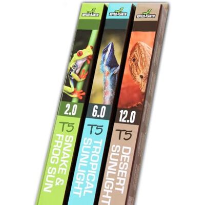 Reptiles-Planet T5 6.0 8W Desert Fluorescerande Rör, 29 cm Storlek Reptiles-Planet T5 6.0 8W Desert Fluorescerande Rör, 29 cm Storlek