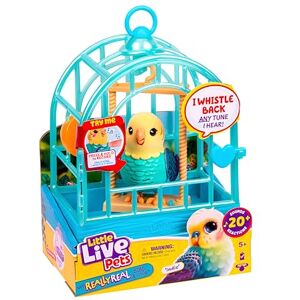 Little Live Pets My Really Real Bird & Cage – Indie, interaktiv, realistisk husdjursfågel, 20+ ljud och reaktioner (25 cm/9,8 tum bur, 10,9 cm/4,3 tum fågel), skivor och upprepningar eller visselpipor Little Live Pets My Really Real Bird & Cage – Indie, interaktiv, realistisk husdjursfågel, 20+ ljud och reaktioner (25 cm/9,8 tum bur, 10,9 cm/4,3 tum fågel), skivor och upprepningar eller visselpipor