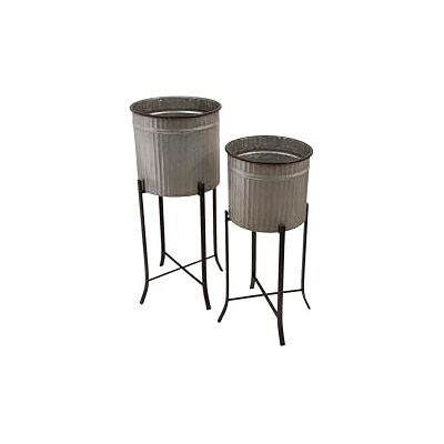 Kreativt Set med 2 Järnväxter i Ställningar Kreativt Set med 2 Järnväxter i Ställningar