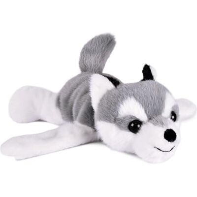 Histoire d'ours Slap Husky PodColl armband 25 cm ultramjuk hundarmband plysch att rulla upp lekfull leksak från 18 månader presentidé för födelse, bebis, flicka, pojke, nomad följeslagare Histoire d'ours Slap Husky PodColl armband 25 cm ultramjuk hundarmband plysch att rulla upp lekfull leksak från 18 månader presentidé för födelse, bebis, flicka, pojke, nomad följeslagare