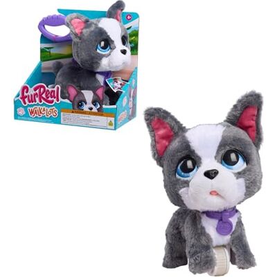 Just Play furReal Walk-A-Lots French Bulldog, 8 Inch Tall Interactive Toy Dog, for Boys and Girls, Ages 4 and Up by Just Play furReal Walk-A-Lots French Bulldog, 8 Inch Tall Interactive Toy Dog, for Boys and Girls, Ages 4 and Up by
