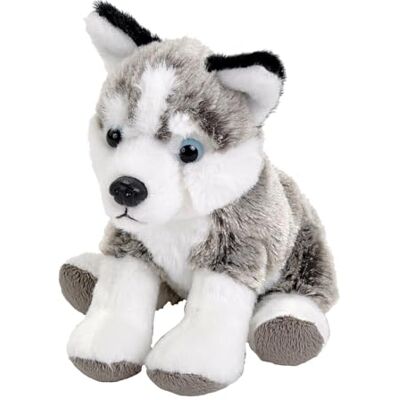 WILD REPUBLIC Pocketkins Eco Husky, gosedjur, 12 cm, plyschleksak, tillverkad av återvunnet material, miljövänlig WILD REPUBLIC Pocketkins Eco Husky, gosedjur, 12 cm, plyschleksak, tillverkad av återvunnet material, miljövänlig