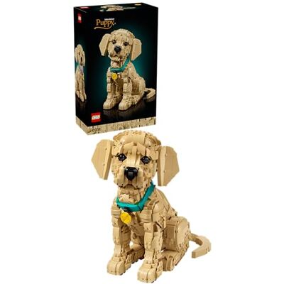 Lego Icons Golden retriever-valp – Rörlig djurfigur – Byggset och rumsdekoration – Byggsats för vuxna med samlarmodell för hundälskare – Present med Golden retriever-tema – 11384 Lego Icons Golden retriever-valp – Rörlig djurfigur – Byggset och rumsdekoration – Byggsats för vuxna med samlarmodell för hundälskare – Present med Golden retriever-tema – 11384