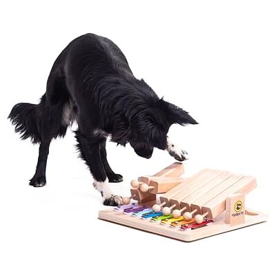 My Intelligent Dogs interaktiv hundleksak intelligens, hundpussel – intelligensleksak för hundar mentaler utnyttjande – interaktiv leksak hund, tänkande spel för hundar piano My Intelligent Dogs interaktiv hundleksak intelligens, hundpussel – intelligensleksak för hundar mentaler utnyttjande – interaktiv leksak hund, tänkande spel för hundar piano