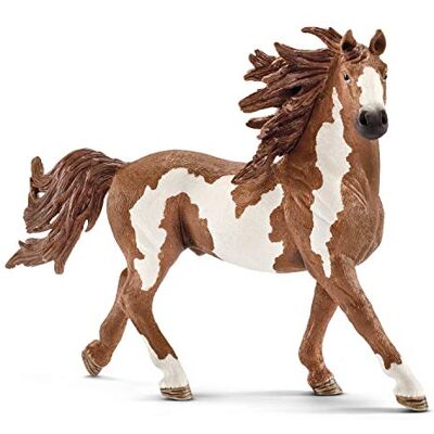Schleich FARM WORLD Pinto hingst, från 3 år, 13794 Leksaksfiguren, 4 x 16 x 11 cm Schleich FARM WORLD Pinto hingst, från 3 år, 13794 Leksaksfiguren, 4 x 16 x 11 cm