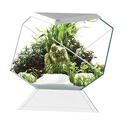 ASKOLL Nexus 5c Akvarium - 5.5L, 28cm, Utomhusdekoration ASKOLL Nexus 5c Akvarium - 5.5L, 28cm, Utomhusdekoration