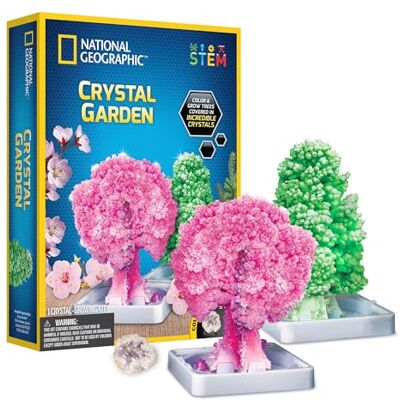Giochi Preziosi National geographic Crystal Garden Kit för kreativa experiment, odla kristallträd och färg, inklusive autentisk geod, för barn från 6 år Giochi Preziosi National geographic Crystal Garden Kit för kreativa experiment, odla kristallträd och färg, inklusive autentisk geod, för barn från 6 år