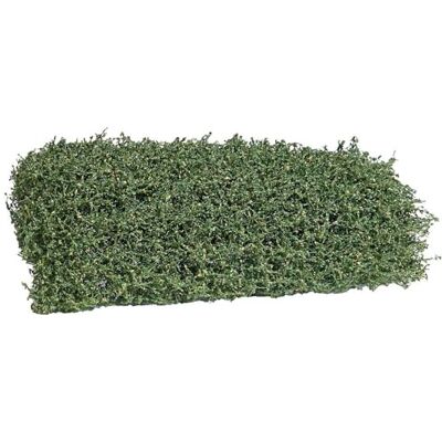 Busch 3599 buske sensommar 35 mm Busch 3599 buske sensommar 35 mm
