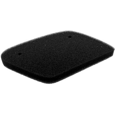 RMS - Leonardo 125/150 - Rotax - Luftfilter RMS - Leonardo 125/150 - Rotax - Luftfilter