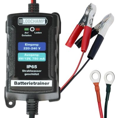 LODCHAMP Batteritränare 6V/12V – 750mAh, IP65, Laddare, Fordon LODCHAMP Batteritränare 6V/12V – 750mAh, IP65, Laddare, Fordon