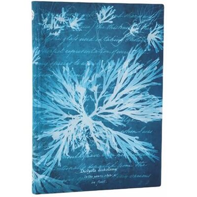 Paperblanks Carnet souple Fleurs Marines Midi Ligné 176p. Paperblanks Carnet souple Fleurs Marines Midi Ligné 176p.