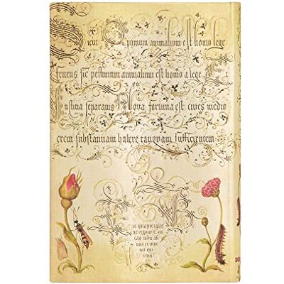 Paperblanks 13 månaders planerare 2023–2024 Fascinerande botanisk Liggande Mini (95 × 140 mm) Paperblanks 13 månaders planerare 2023–2024 Fascinerande botanisk Liggande Mini (95 × 140 mm)