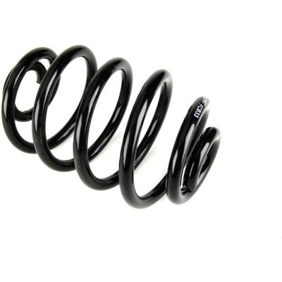 Magnum Technology SR039MT Upphängningsfjäder - Bakaxel Renault Clio II Magnum Technology SR039MT Upphängningsfjäder - Bakaxel Renault Clio II