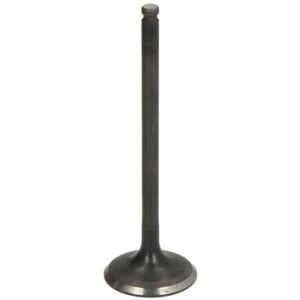 FRECCIA Insugningsventil R6743/SNT - Ventil FRECCIA Insugningsventil R6743/SNT - Ventil