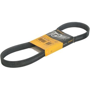 Continental 6PK730ELAST Poly-V rem Continental 6PK730ELAST Poly-V rem