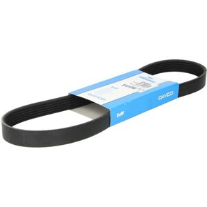 DAYCO 6PK802 V-band - V-band DAYCO 6PK802 V-band - V-band