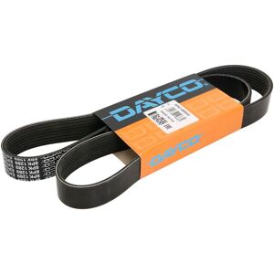 Dayco 8PK1289HD V-ribbad rem - V-ribbad rem Dayco 8PK1289HD V-ribbad rem - V-ribbad rem