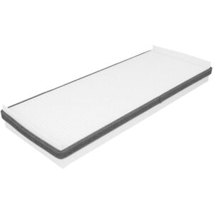 FILTRON K1131 Innerrumsfilter - Partikelfilter FILTRON K1131 Innerrumsfilter - Partikelfilter