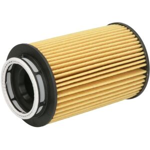 Filtron OE 679/1 Oljefilter - för BMW 5-serien, X5, ALPINA B5 Filtron OE 679/1 Oljefilter - för BMW 5-serien, X5, ALPINA B5