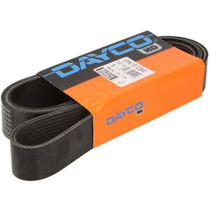 DAYCO 10PK1512SHD V-axel - V-axel DAYCO 10PK1512SHD V-axel - V-axel