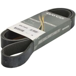 DAYCO DAY8PK1754HD Trapetsformad rem DAYCO DAY8PK1754HD Trapetsformad rem