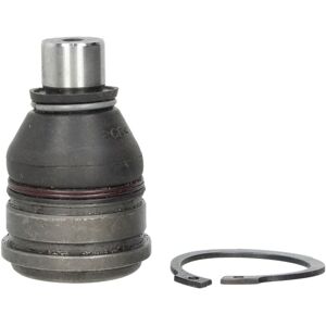 Delphi TC2164 Kontrollarmsled - Fjädringsdel Delphi TC2164 Kontrollarmsled - Fjädringsdel