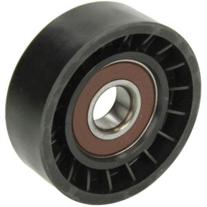 BTA E2Y0001BTA Transmission pulley and belt guide - Pulleys & belt guides BTA E2Y0001BTA Transmission pulley and belt guide - Pulleys & belt guides