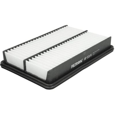 Filtron AP 113/6 Luftfilter - Mazda 3, 6, CX-5 Filtron AP 113/6 Luftfilter - Mazda 3, 6, CX-5