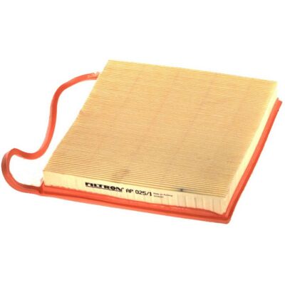 Filtron Luftfilter AP 025/1 - Luftfilter Filtron Luftfilter AP 025/1 - Luftfilter