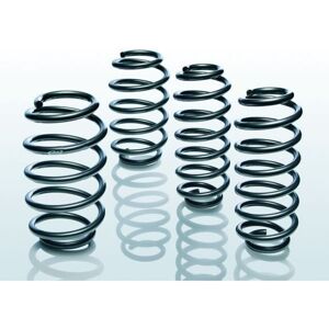 EIBACH BMW 5-serie - Spiralfjäder - F2069001 EIBACH BMW 5-serie - Spiralfjäder - F2069001