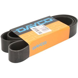 DAYCO Modell DAY10PK1555HD V-rem - För maskiner DAYCO Modell DAY10PK1555HD V-rem - För maskiner
