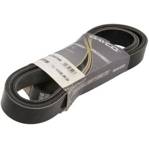 DAYCO DAY8PK2527HD Poly V-ribbad band - Poly V-ribbad band DAYCO DAY8PK2527HD Poly V-ribbad band - Poly V-ribbad band