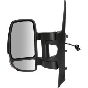 MAGNETI MARELLI 182201578100 - Ytterbackspegel MAGNETI MARELLI 182201578100 - Ytterbackspegel