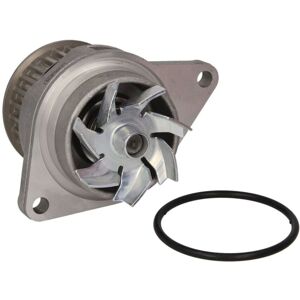HEPU P556 Vattenpump - Metall, Mekanisk, Med packning HEPU P556 Vattenpump - Metall, Mekanisk, Med packning
